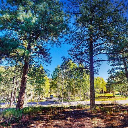 Pinon Pines South Fork Exterior foto